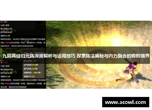 九阴真经归元阵深度解析与运用技巧 探索阵法奥秘与内力融合的极致境界