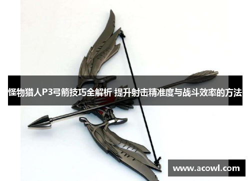 怪物猎人P3弓箭技巧全解析 提升射击精准度与战斗效率的方法
