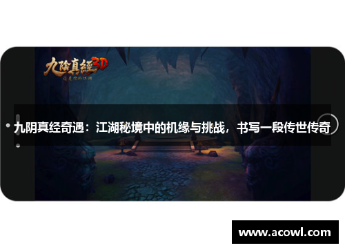 九阴真经奇遇：江湖秘境中的机缘与挑战，书写一段传世传奇