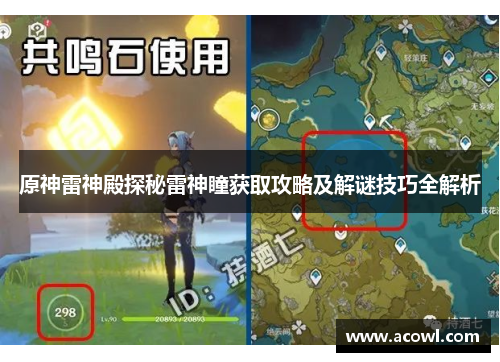 原神雷神殿探秘雷神瞳获取攻略及解谜技巧全解析